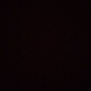 Meet your Posher, Bailey